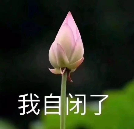 幼儿篮球训练内容与要求有哪些?_2